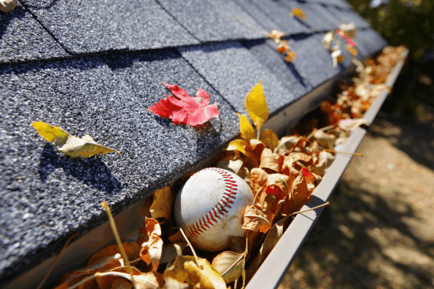 A close-up of a house gutter filled with dry autumn leaves and a baseball, with colorful fall foliage scattered across the gray shingle roof.
