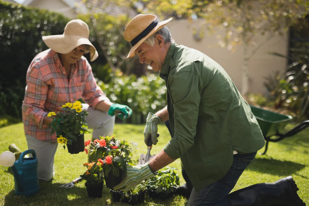 couple-enjoy-gardening-together-in-the-backyard-2026-01-09-09-53-09-utc